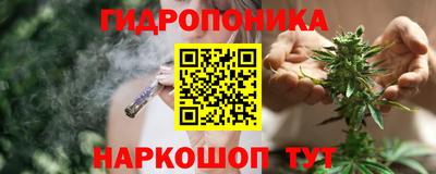 прущие крисы Мариинск