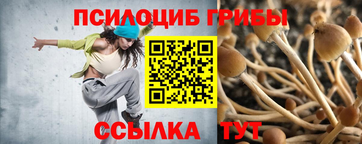Галлюциногенные грибы мухоморы Грязи