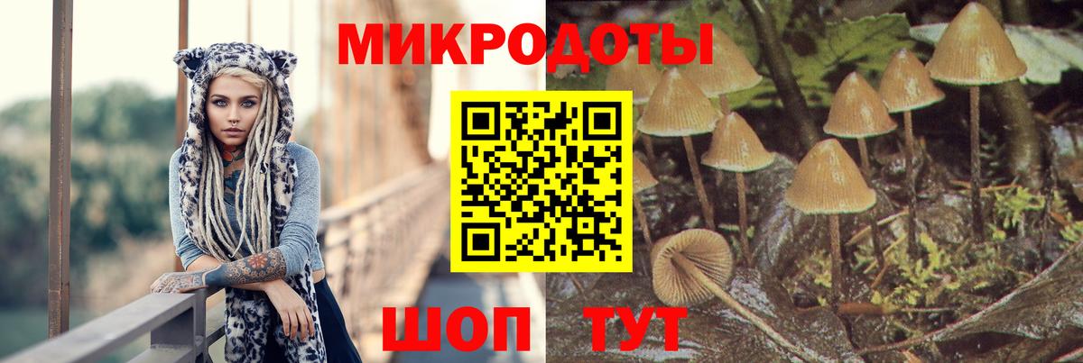 Грязи  купить   Вход с VPN  Галлюциногенные грибы Magic Shrooms 